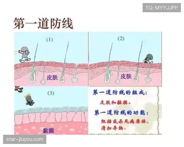 罗德里如何以防线屏障与二次进攻发起点定义现代后腰的双重价值